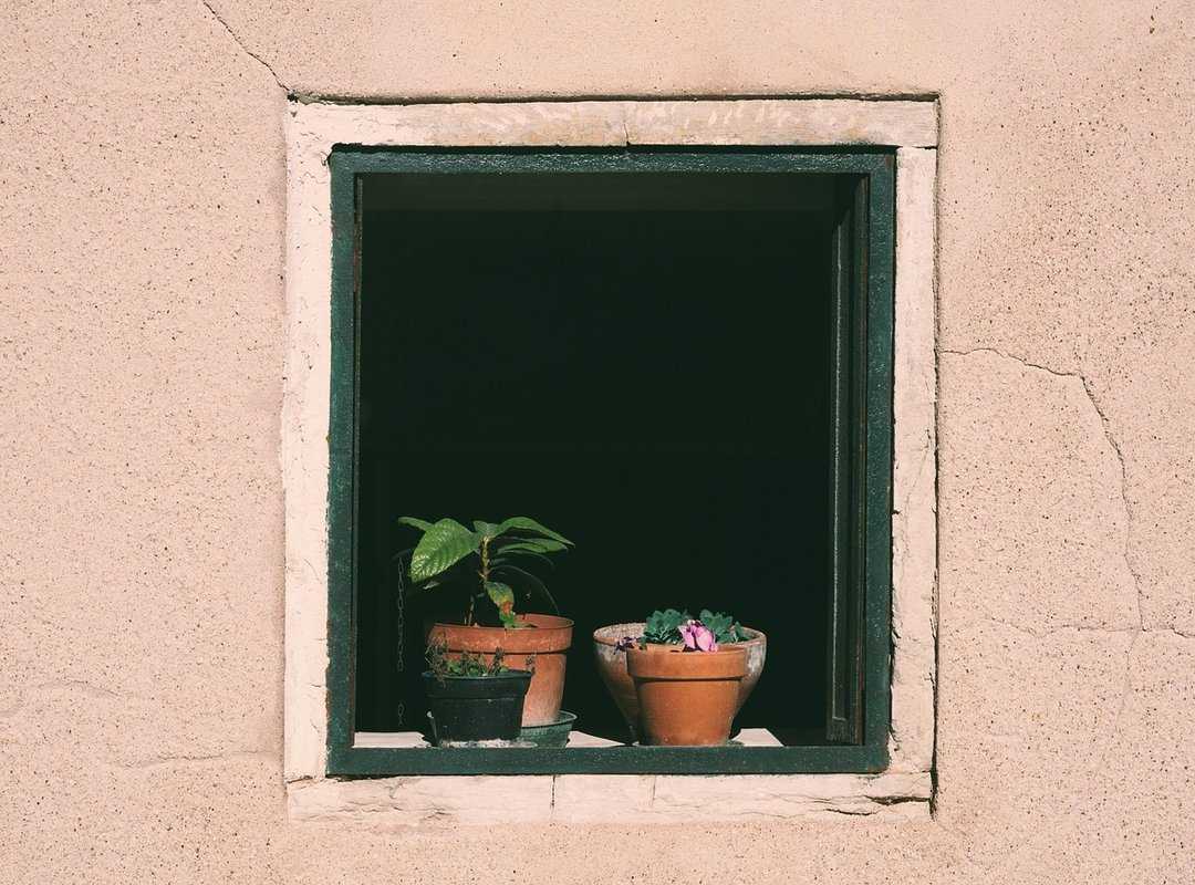 coaches' insights strategies