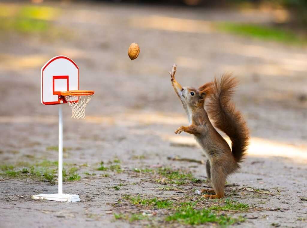 NBA trades 2023