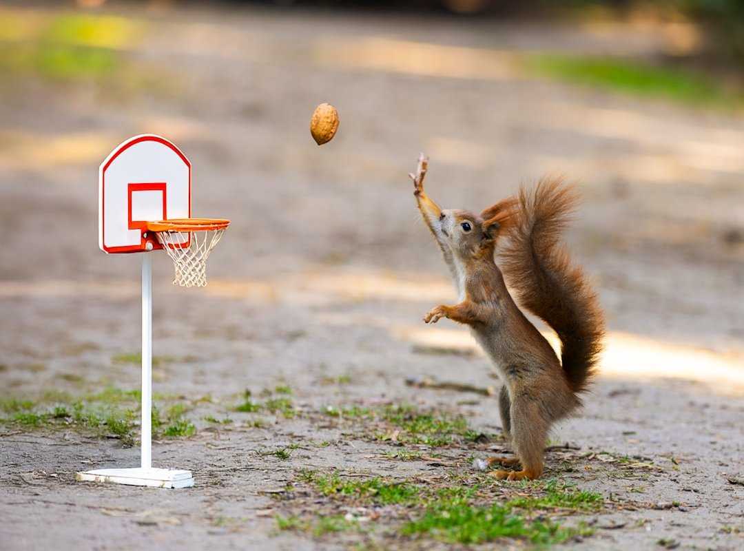 NBA trades 2023