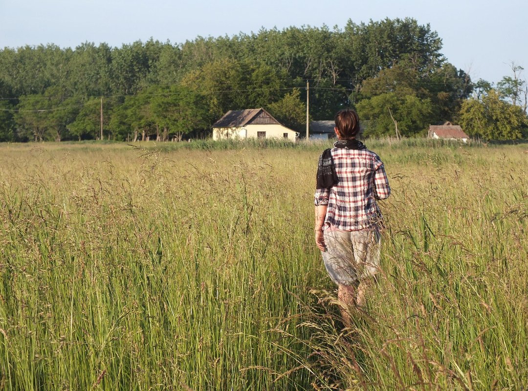 Sffarehockey Statistics Yesterday