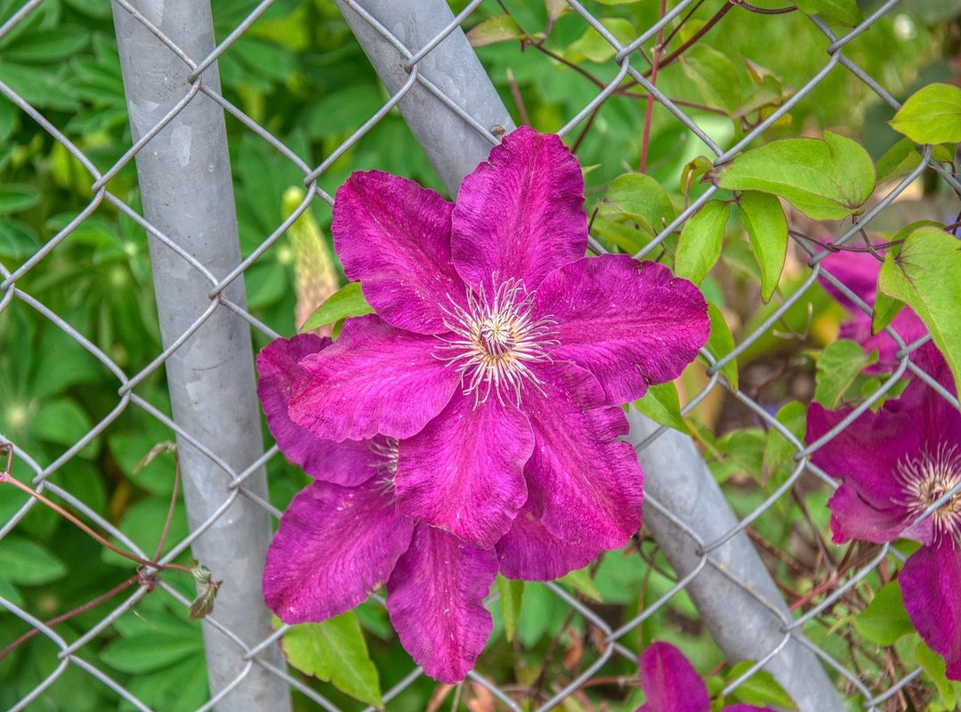 Statistics 2023 Sffarehockey