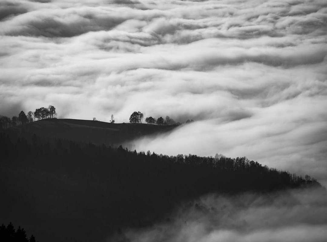 Avoiding Scams and Fakes: Don't Get Burned on Your Next Buy