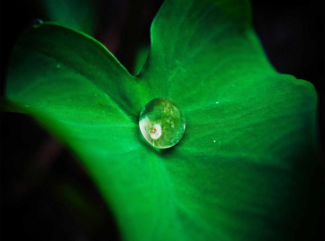 Crafting a Bio That Shows Off Your Personality (Not Just Your Picture)