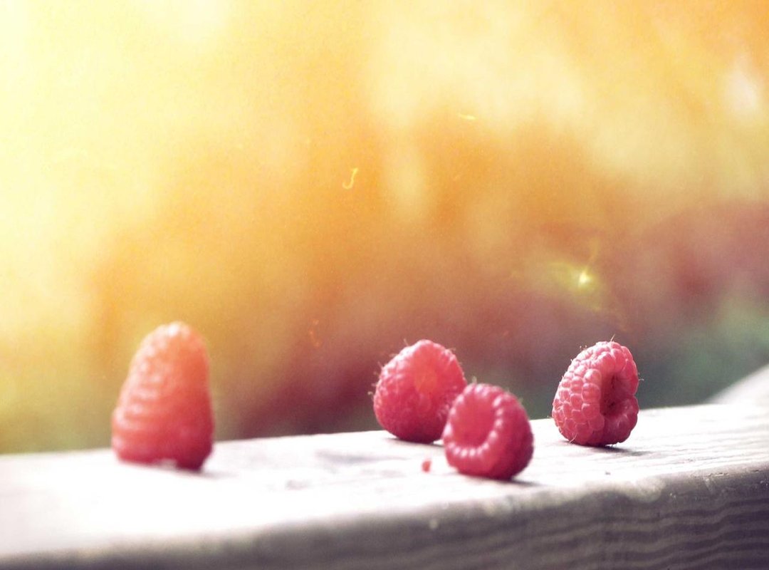 From Snapshot to Symbol: The Photo's Lasting Cultural Impact