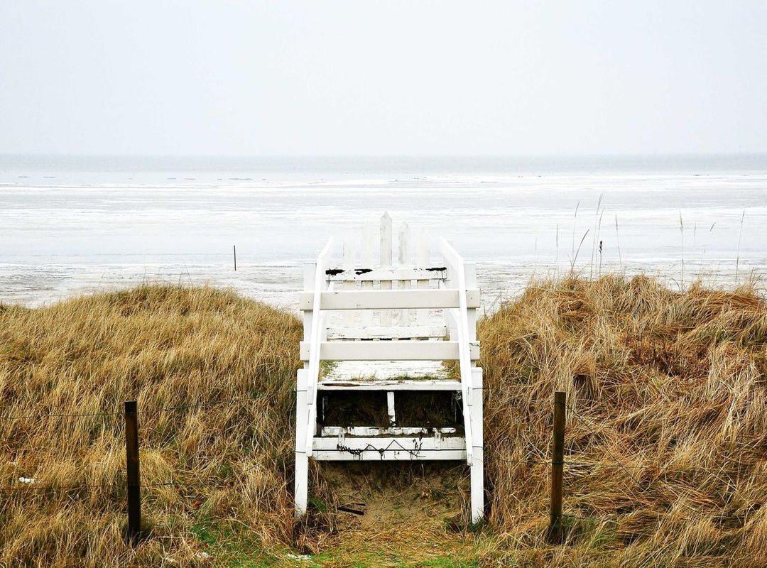 A Look at the Food: Menu Presentation and Quality