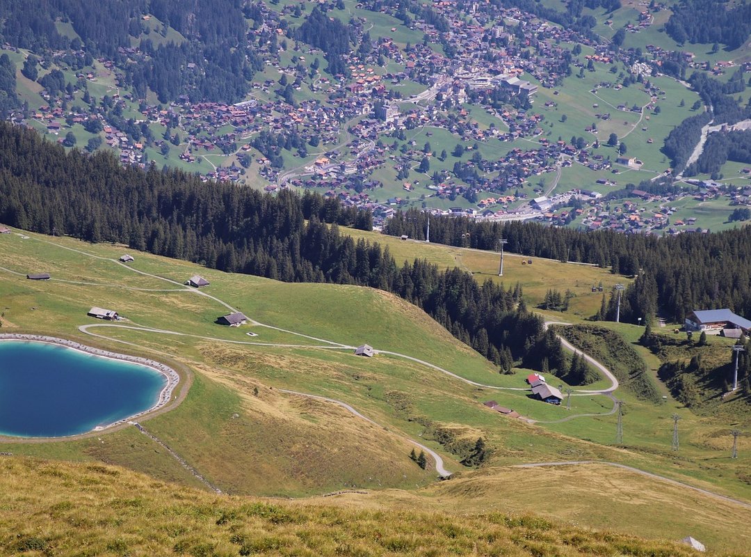 From High School Standout to Professional Prospect