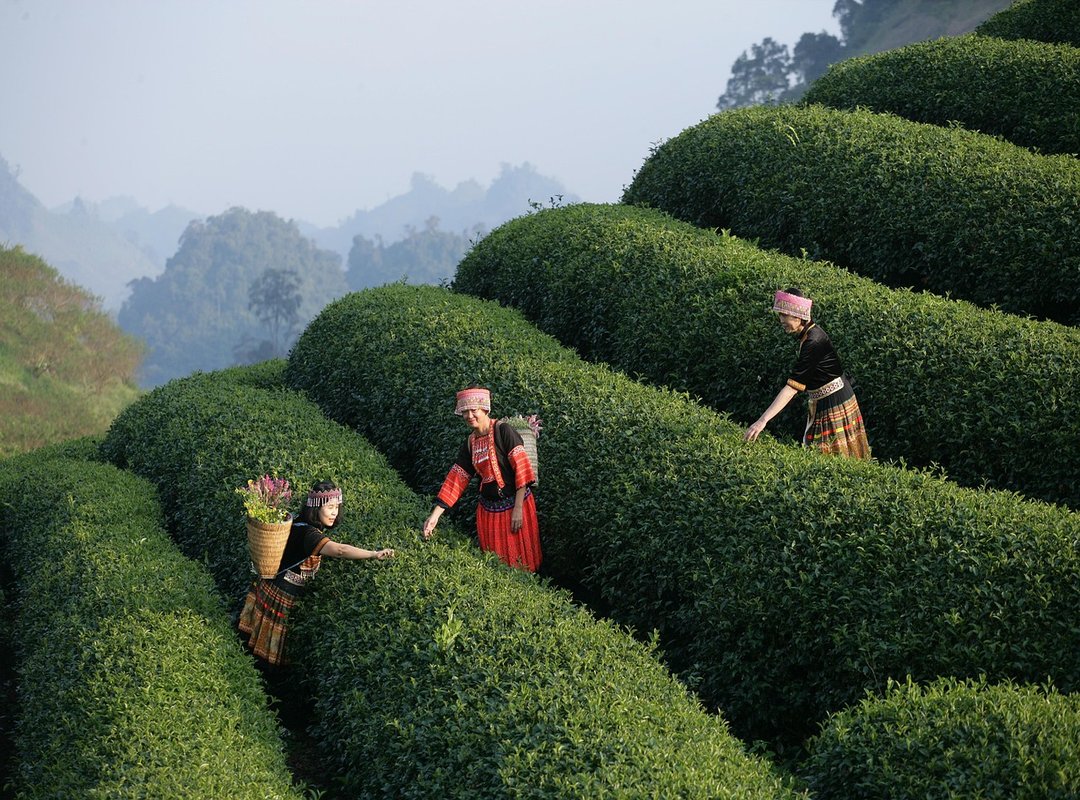 How to Spot a World-Class Dining Experience in Cusco