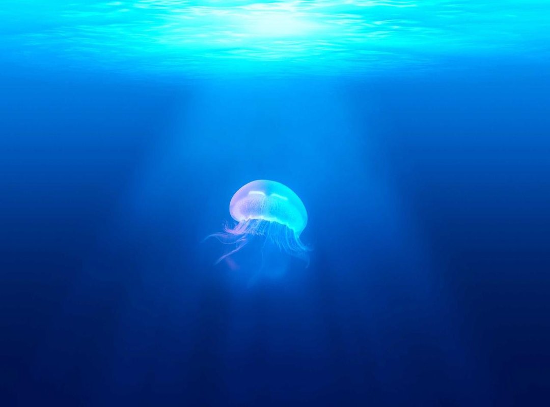 Player Analysis: Reading the Game with Advanced Metrics