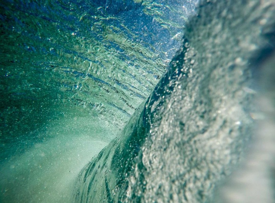 A Legacy of Success: Career Milestones and Defining Moments