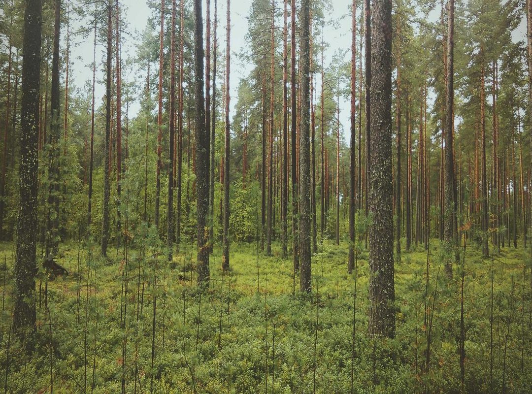 Placement is Everything: Where to Put Your Simple Back Tattoo