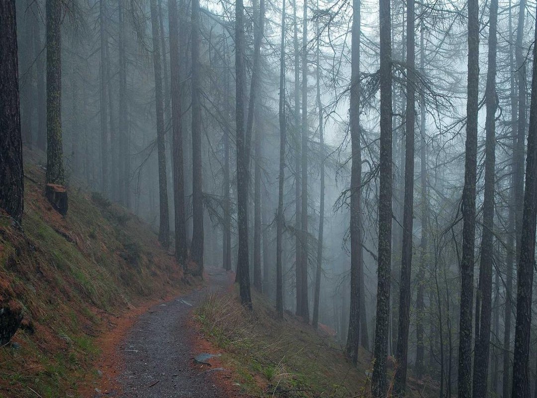 The Illusion of Fat Loss: Why You Might See Temporary Results