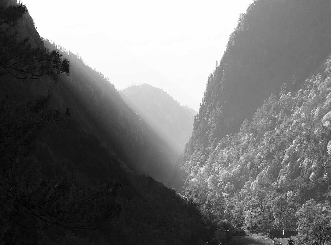 Advanced Control: Using Categorical and Custom Tick Labels