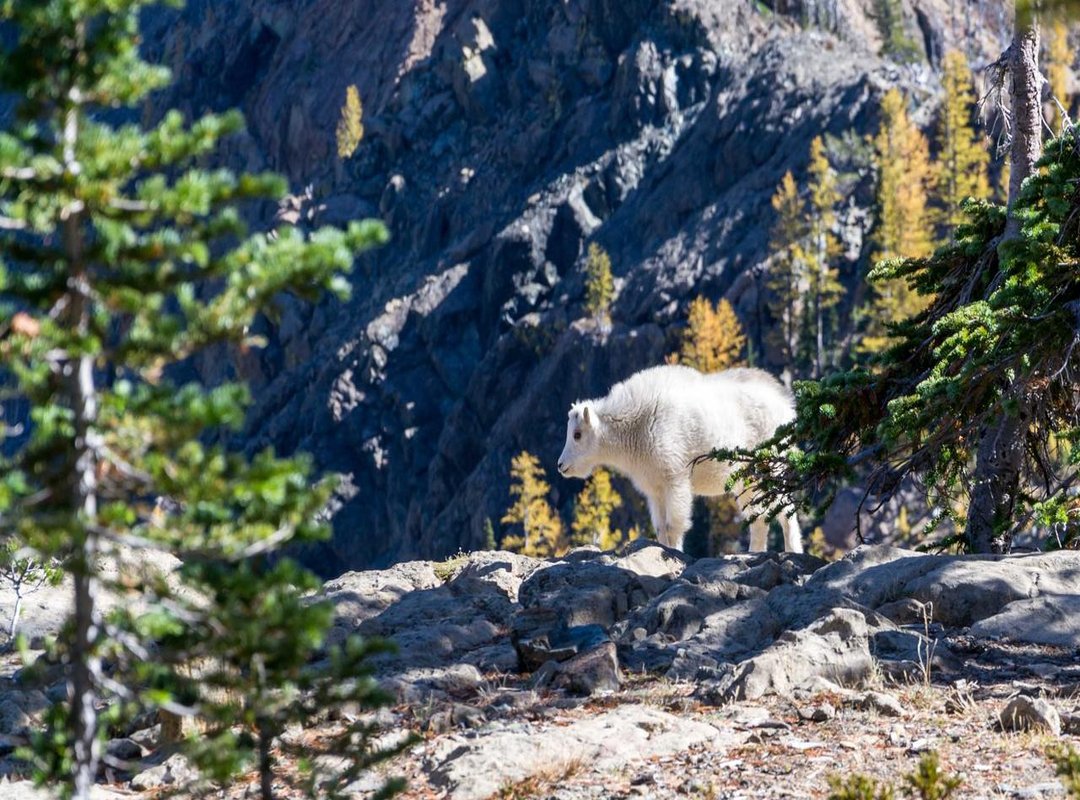 Free vs. Premium Templates: An Honest Breakdown